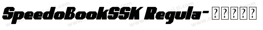 SpeedoBookSSK Regula字体转换
